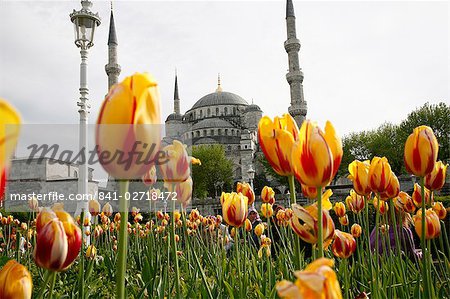 La mosquée bleue (Sultan Ahmet Camii), Istanbul, Turquie, Europe