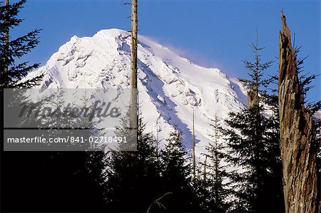 Mount Rainier, Etat de Washington, États-Unis d'Amérique (é.-u.), en Amérique du Nord
