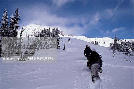 Snowboarders, Mount Rainier, Washington State, United States of America (U.S.A.), North America