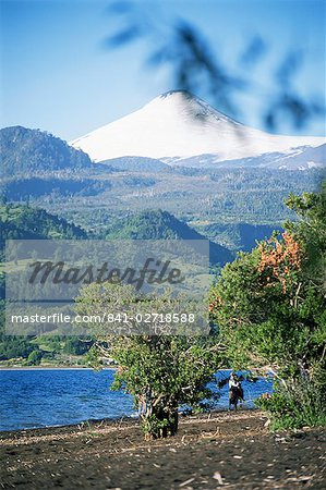 Man riding horse along beach with Villarica volcano in the background, Villarica Lake, Chile, South America