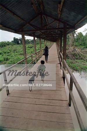 Chien suit garçon transportant des bananes dans une petite localité à l'extérieur de Iquitos, fleuve Amazone, au Pérou, Amérique du Sud