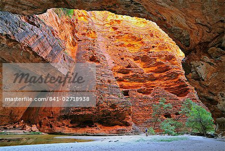 Homme dans la Gorge de la cathédrale, Bungle Bungle, Parc National de Purnululu, patrimoine mondial de l'UNESCO, Kimberley, Australie-occidentale, Australie, Pacifique