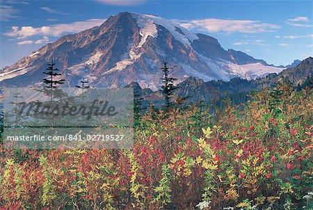 Landscape, Mount Rainier National Park, Washington state, United States of America, North America