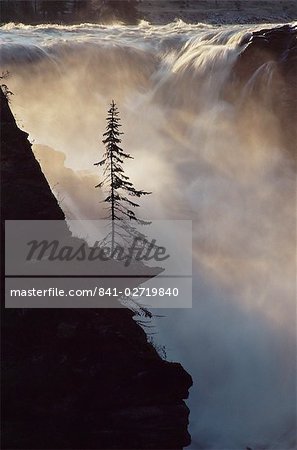 Athabasca Falls, Parc National Jasper, patrimoine mondial de l'UNESCO, les Rocheuses, Alberta, Canada, Amérique du Nord