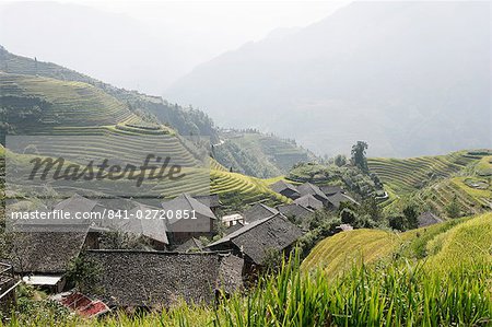 Longsheng Reihen Reisfeldern, Guilin, Provinz Guangxi, China, Asien