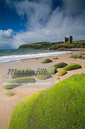 Minnard Beach, Dingle, County Kerry, Munster, Republik Irland, Europa