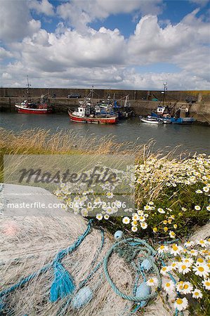 Helvick Head Pier, County Waterford, Munster, Republic of Ireland, Europe