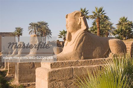 Allée des sphinx, Temple de Luxor, Luxor, Thèbes, UNESCO World Heritage Site, Égypte, Afrique du Nord, Afrique