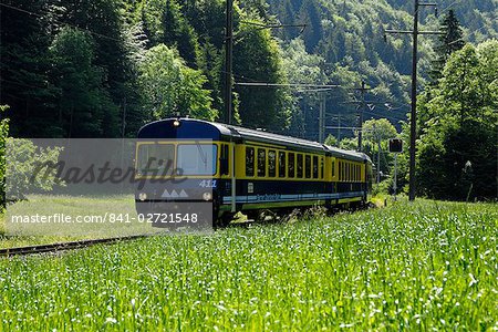 Train de montagne, les Alpes bernoises, Alpes suisses, Suisse, Europe