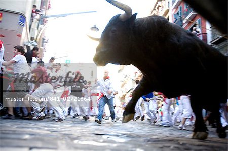 Running of the bulls (Encierro), San Fermin festival, Pamplona, Navarra, Spain, Europe