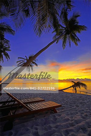 Transat sur la plage tropicale de palmier à la tombée de la nuit et le héron, Maldives, océan Indien, Asie