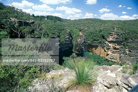 Die Wentworth Falls, 300 m hoch, am großen Kliff in den Blue Mountains, UNESCO-Weltkulturerbe, östlich von Katoomba, New South Wales (NSW), Australien, Pazifik