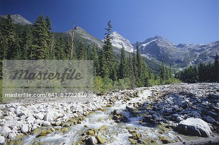 The Illercillewaet River valley and the Sir Donald Range of the Selkirk Mountains, Glacier National Park, British Columbia (B.C.), Canada, North America