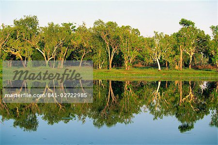 Reflexionen von Eukalyptusbäumen (Zahnfleisch) auf Annaburroo Billabong Nähe Arnheim Autobahn am Mary River Crossing im Northern Territory, Australien, Pazifik