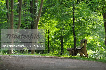 Banc de parc, Bavière, Allemagne