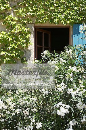 La Mas, maison provençale moderne Style traditionnel. Fenêtre avec obturateur ouvert. Architecte : Chris Rudolf