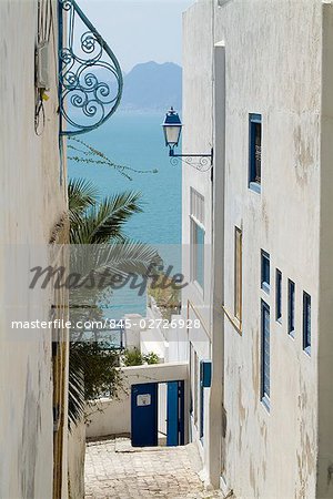 Sidi Bou Saïd.