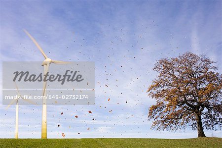 Falling leaves, tree, Wind Turbines