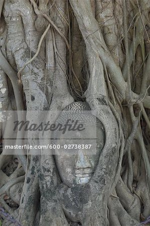 Sculpture, Ayutthaya, Thaïlande