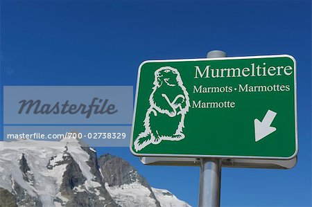 Marmot Sign with Grossglockner in Background, Hohe Tauern, Austria