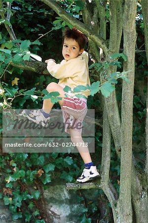 Boy climbing tree, looking over shoulder at camera