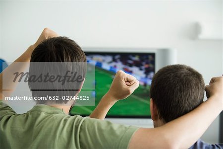 Two males watching sports on television, fists raised in air, rear view