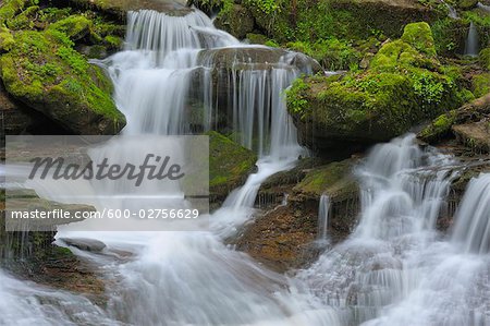 Ruisseau dans la forêt, Spessart, Bavière, Allemagne Ruisseau dans la forêt, Spessart, Bavière, Allemagne