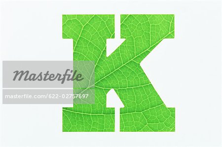 Alphabet vert K sur fond blanc