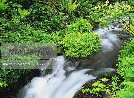 Waterfalls at Nagano Prefecture ,Japan