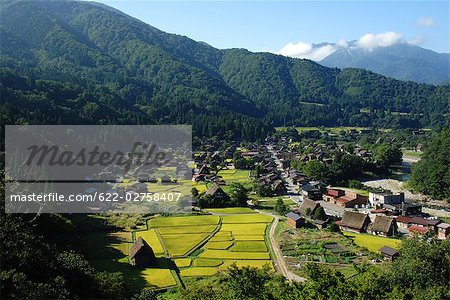 View of Rice Field and Japanese Traditional House