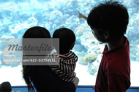 Couple avec son enfant regardant aquarium