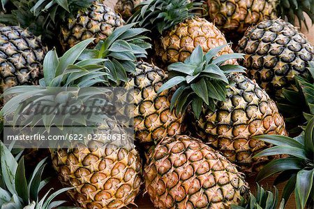 Fruits ananas