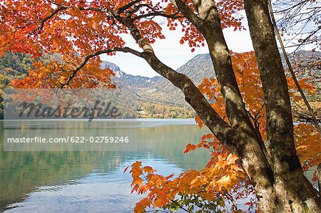 Scenic View of Mountain and Lake, Tochigi Prefecture, Japan