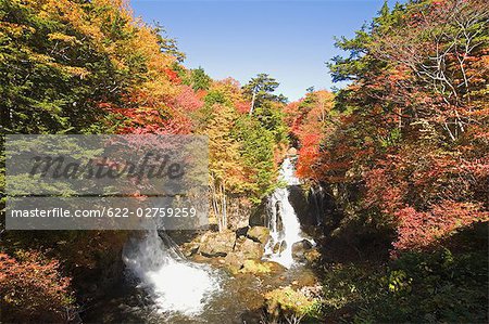 Cascade de la Couronne dans la préfecture de Tochigi, Japon