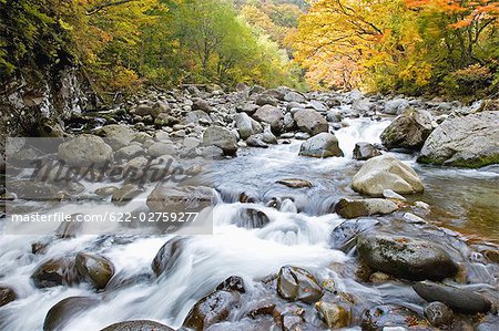 Fluss durch Nakatsugawa Schlucht, Japan