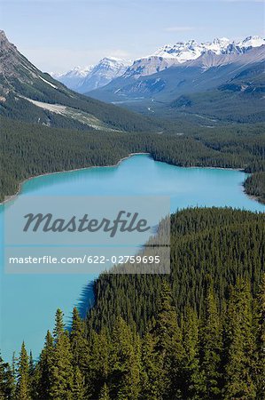 Peyto Lake in the Canadian Rockies