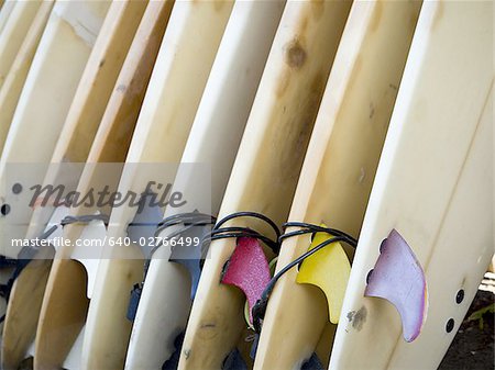 Close-up of surfboards in a row