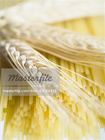 Close-up of wheat stalks and uncooked spaghetti