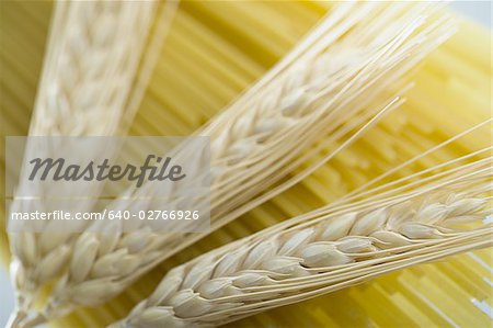 Close-up of wheat stalks and uncooked spaghetti