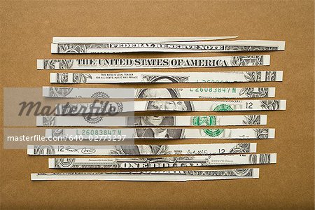 Detailed view of shredded US dollar bill