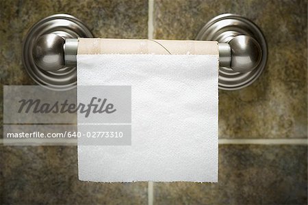 Empty toilet paper roll