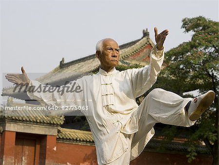 Man doing Kung Fu outdoors with pagoda in background