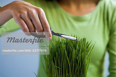 Femme coupe herbe avec des ciseaux.
