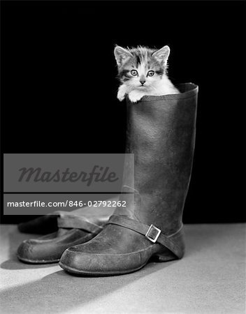 1950s KITTEN CLIMBING OUT OF MAN'S BOOT ONLY HEAD AND PAWS OUT PUSS IN BOOTS CUTE