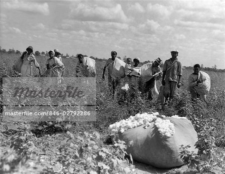 1930s GROUP OF AFRICAN AMERICAN WORKERS WITH BAGS OF COTTON IN FIELD LOUISIANA OUTDOOR