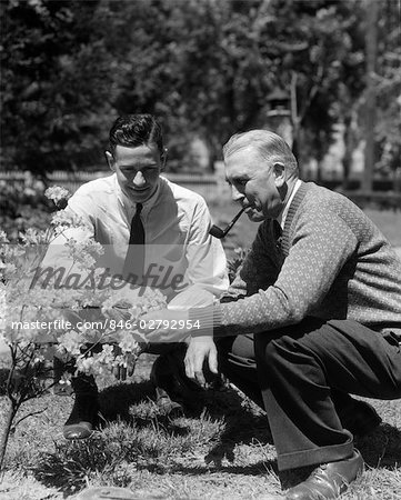 1930s 1940s 2 ADULT MEN FATHER & SON KNEELING IN GARDEN LOOKING AT FLOWERING SHRUB