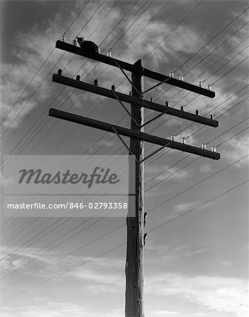 Annees 1940 Chat Assis Sur Une Ligne Electrique De Poteau De Telephone Bloques Seul Exterieur Petit Animal Felin Des Annees 1930 Des Annees 1950 Photographie De Stock Masterfile Rights Managed Artiste Classicstock Code 846