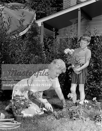 1960ER JAHRE JUNGE GROßMUTTER PFLANZE BLÜHT IM GARTEN HELFEN