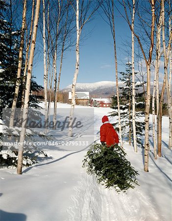 1950s 1960s 1970s MAN DRAGGING IN CHRISTMAS TREE