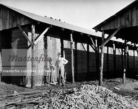 1930s WORKER PILES HICKORY STICKS AT GOLF CLUB AND CHAIR RUNG FACTORY IN ARKANSAS